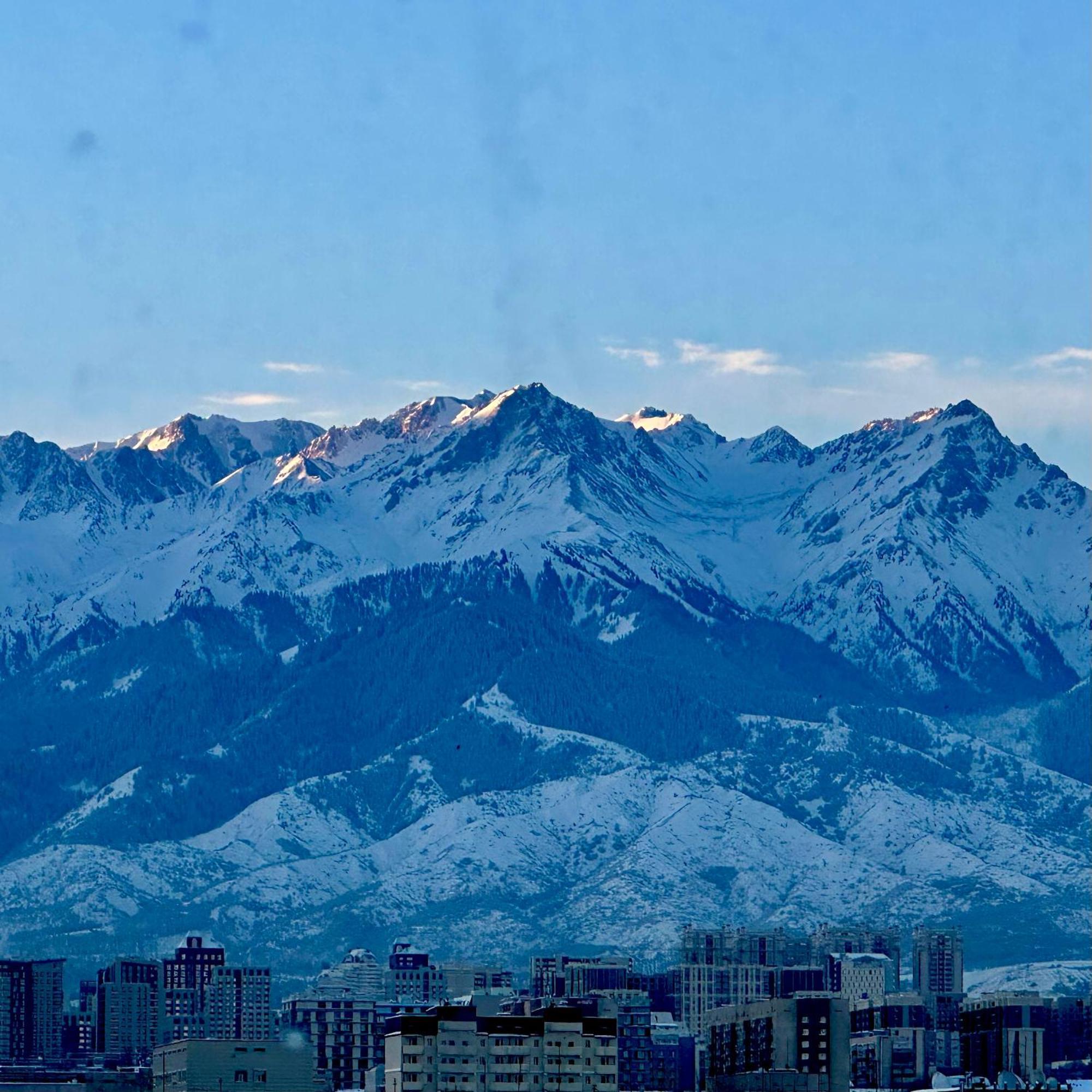 Apartment стильная в Almaty