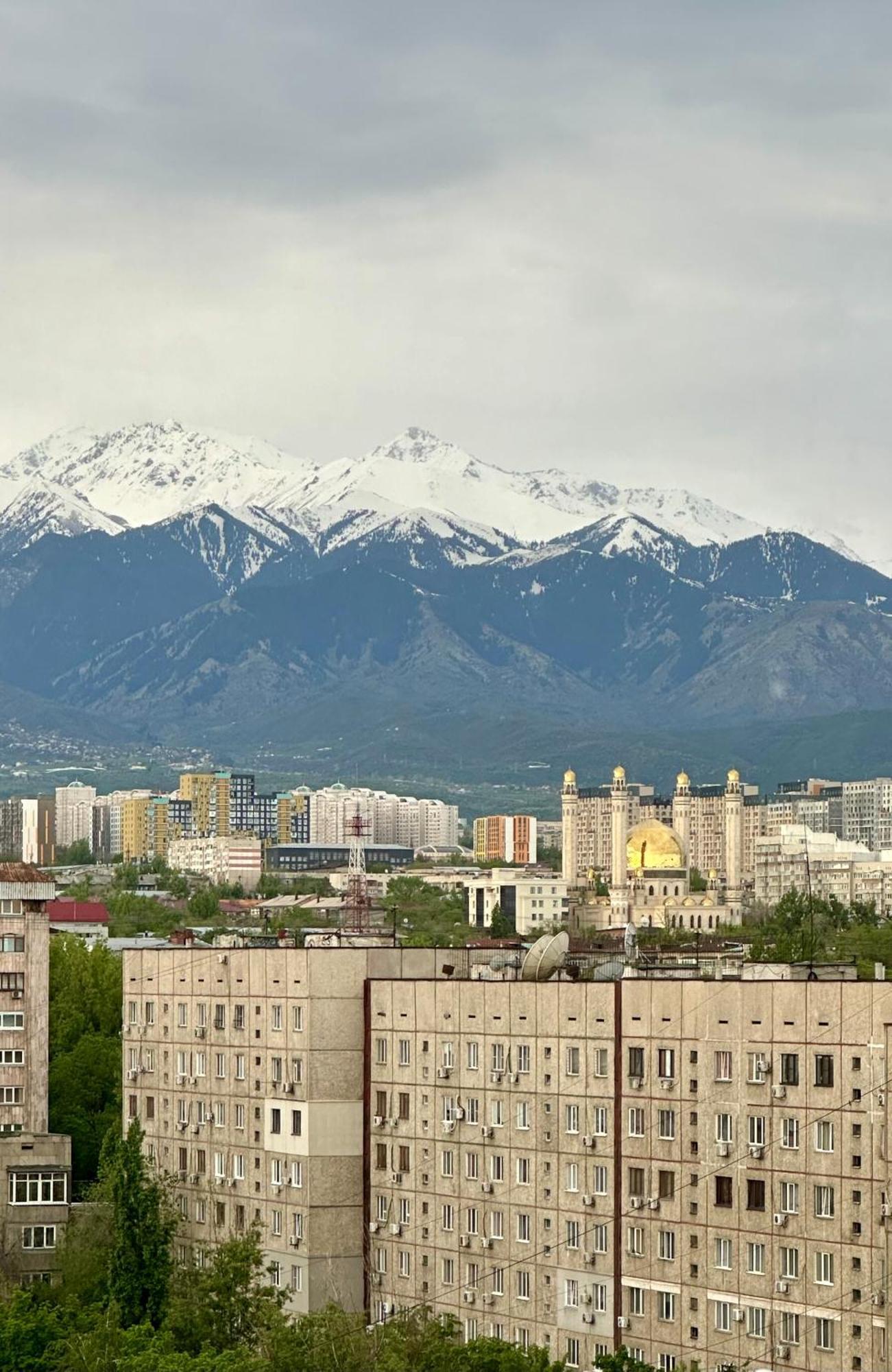 стильная в Apartment Almaty