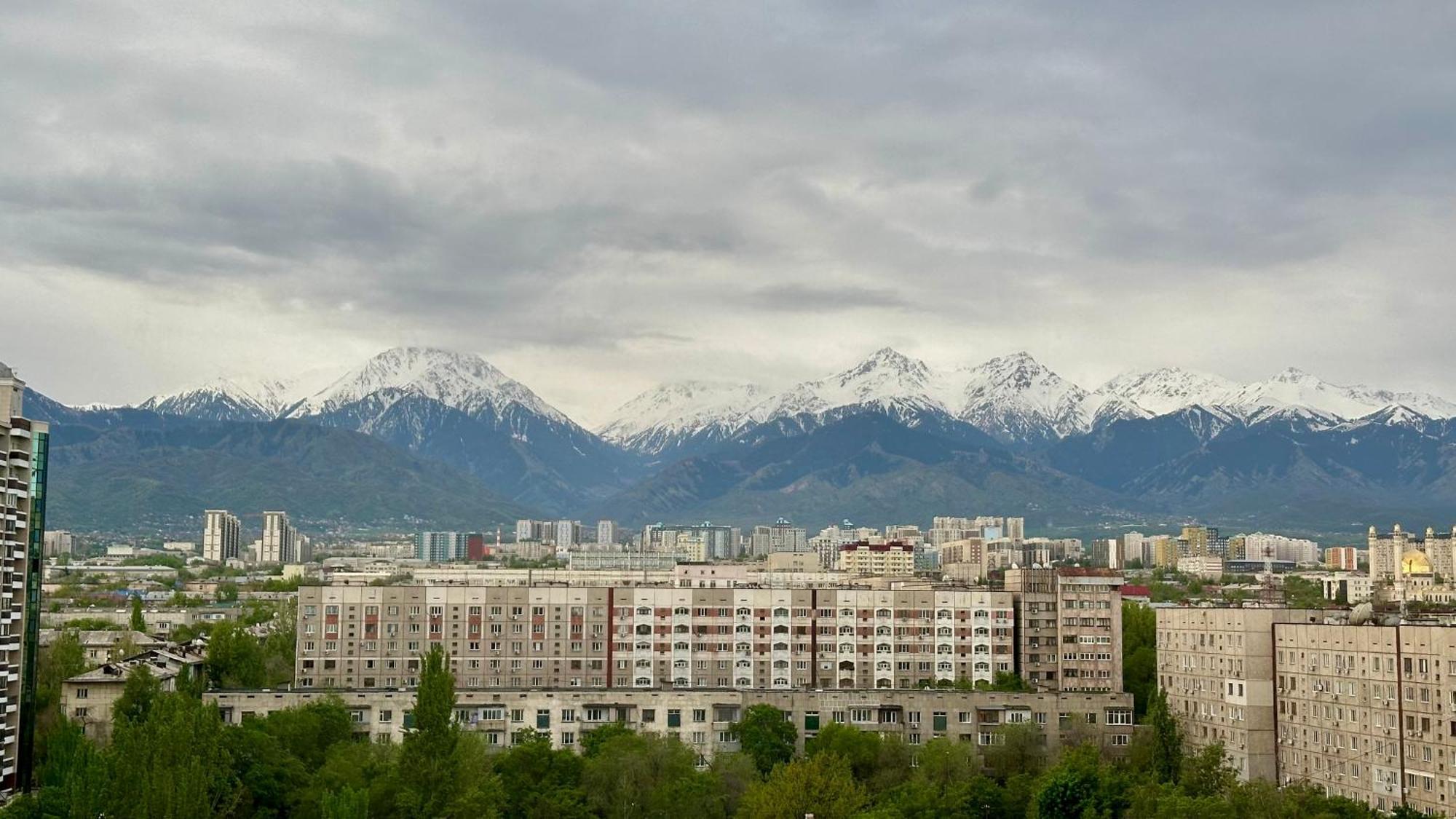 стильная в Almaty